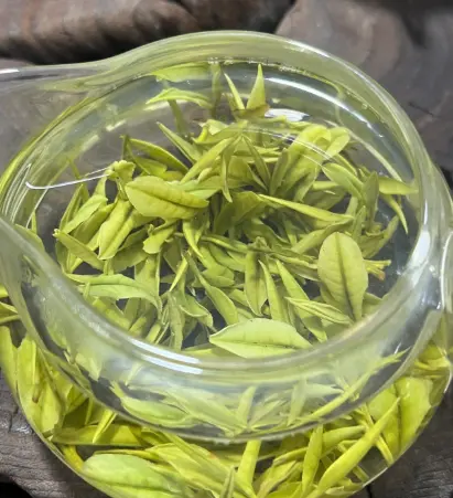 上海思南书局诗歌店：一座教堂改造的文化奇迹，究竟藏着多少惊喜？